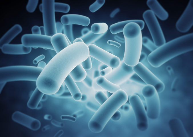 The Microbiome and Inflammatory Bowel Disease