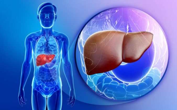 fatty live disease clinical trials