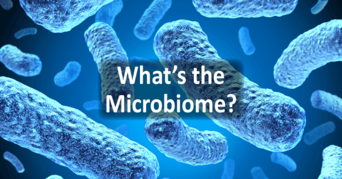 The Microbiome and Disease